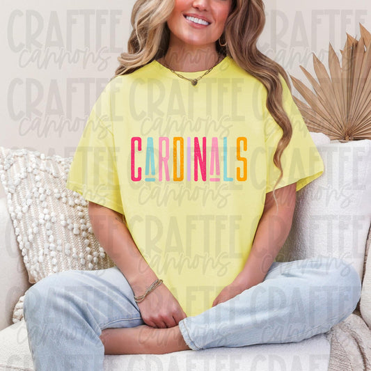 Bears Spirit PNG | Retro Cute School Mascot Shirt Design | Sublimation & DTF Print | Digital Download