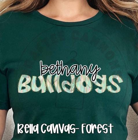 Custom School Mascot Shirt – Cute Script, Opal Letters, Personalized Spirit Tee, Game Day Shirt, Teacher & Student School Pride